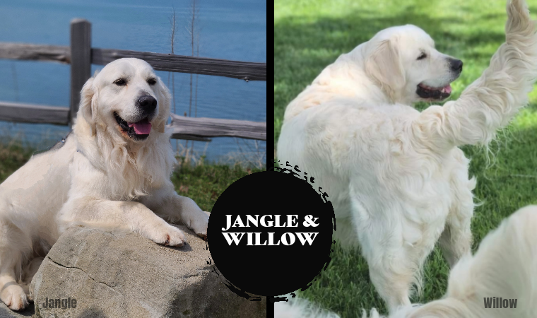 Jangle and willow