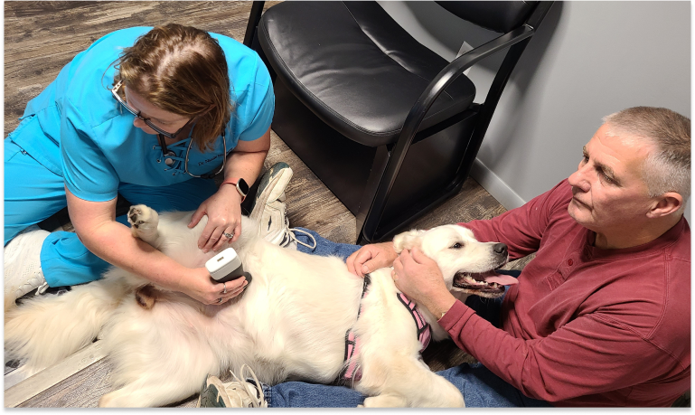 Piper Getting An Ultrasound