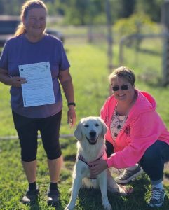 White Golden Retriever sitting proudly with owner after completing training program